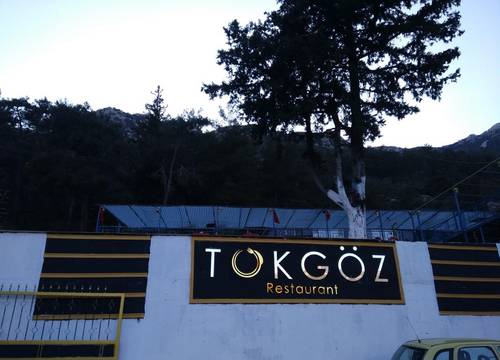 turkiye/antalya/kemer/tokgoz-otel-restoran_fd2ecb60.jpg