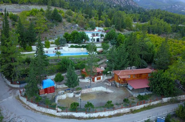 turkiye/antalya/kemer/trinitys-forest-bungalows_7ccb236d.jpg