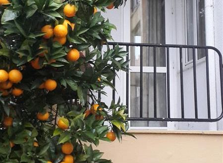 turkiye/antalya/kemer/tuncer-garden-hotel-1518884343.jpg