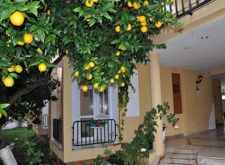 turkiye/antalya/kemer/tuncer-garden-hotel-689458859.JPG