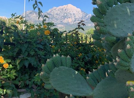 turkiye/antalya/kemer/villa-aysimi_9c7f6b5a.jpg