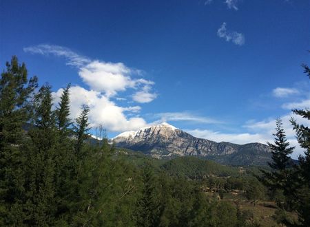 turkiye/antalya/kemer/yildiz-pension-bungalows-b3b72c61.jpg