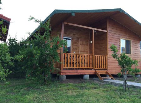 turkiye/antalya/kemer/yildiz-pension-bungalows-d7e2c5c7.jpg