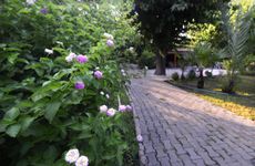 turkiye/antalya/kemer/yildiz-pension-bungalows_c18cb33f.jpg