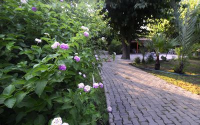 Yıldız Pansiyon Bungalows · 4