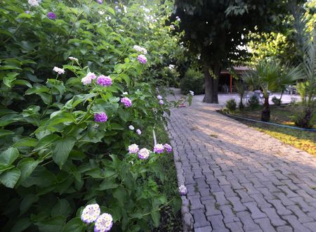 turkiye/antalya/kemer/yildiz-pension-bungalows_c18cb33f.jpg