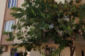 turkiye/antalya/kepez/tas-family-home-31-140m2_1ee3b7b8.jpg