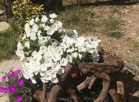 turkiye/antalya/konyaalti/demeter-rose-stonehouse-pansion_0be57c01.jpg