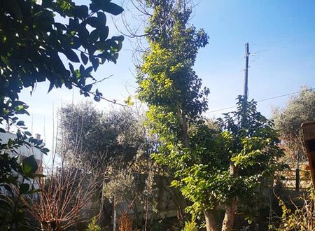 turkiye/antalya/konyaalti/demeter-rose-stonehouse-pansion_16ecf265.jpg