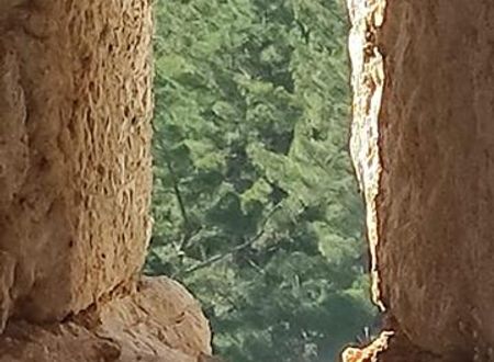 turkiye/antalya/konyaalti/demeter-rose-stonehouse-pansion_863b132d.jpg