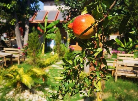 turkiye/antalya/konyaalti/demeter-rose-stonehouse-pansion_f3571827.jpg