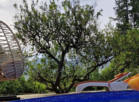 turkiye/antalya/konyaalti/portakal-bungalov_3290011e.jpg