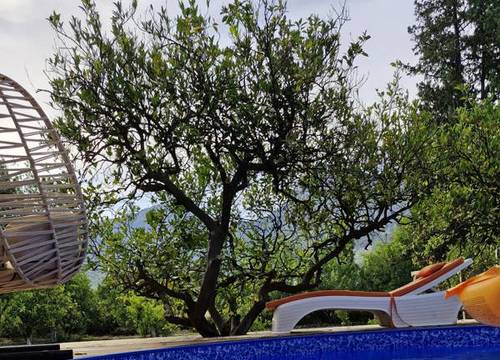 turkiye/antalya/konyaalti/portakal-bungalov_3290011e.jpg