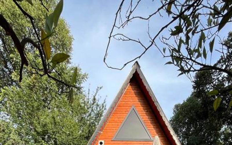 Portakal Bungalov · 1