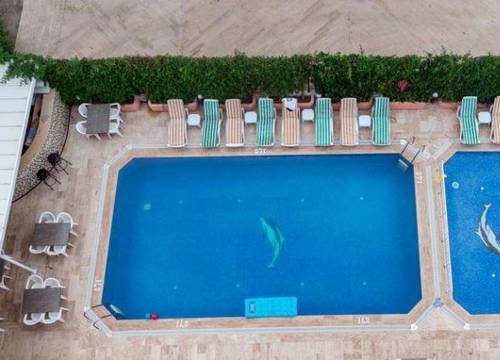 turkiye/antalya/konyaalti/zel-hotel-1798035.jpg