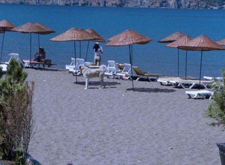 turkiye/antalya/kumluca/adrasan-hotel-1190045.jpg