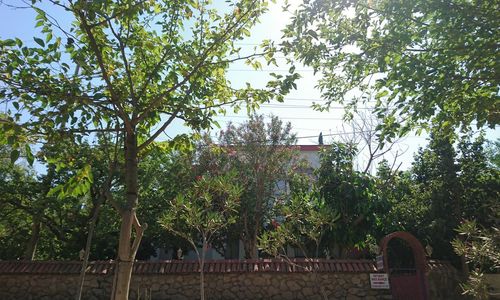 turkiye/antalya/kumluca/dolunay-pansiyon_20ace85f.jpg