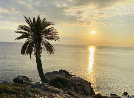 turkiye/antalya/kumluca/gelidonya-pansiyon_9f9aa269.jpg