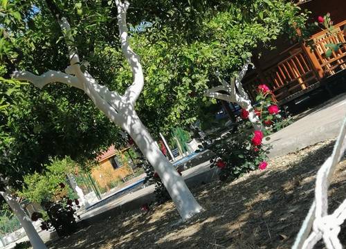 turkiye/antalya/kumluca/img_20220513_165259f927dc8b44a044d992fc9b56c8336190.jpg