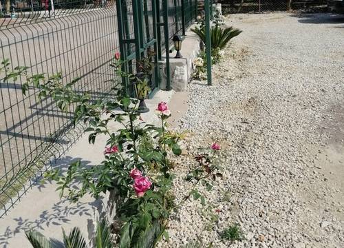 turkiye/antalya/kumluca/img_20220525_16230975de05e73ff14e3fbe63085cadaf1cec.jpg