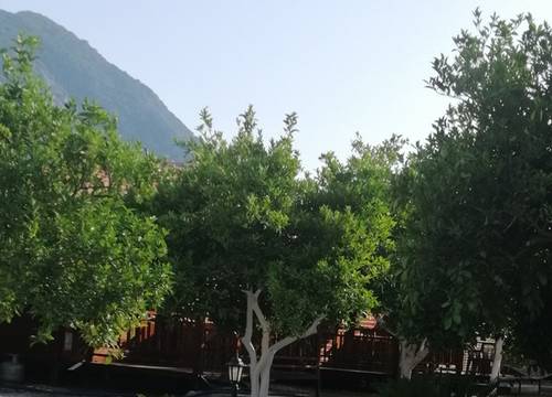 turkiye/antalya/kumluca/img_20220529_181113554cb2ab0aef4d6dbfab936a3c2a00f2.jpg