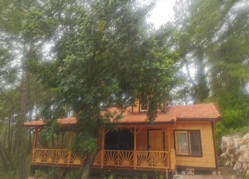 turkiye/antalya/kumluca/img_20230619_130304575a78894e524fae8d57f84b859722cf.jpg