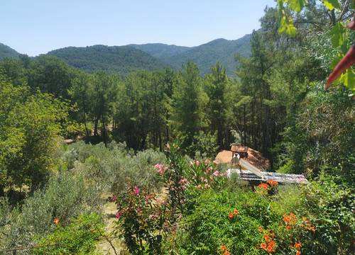 turkiye/antalya/kumluca/img_20230622_1131127906883015d64d949a54917e83a0b782.jpg