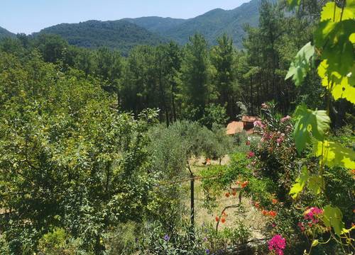 turkiye/antalya/kumluca/img_20230622_11313054fa7867c8034270b85d41a9556a2640.jpg