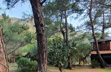 turkiye/antalya/kumluca/jungle-bungalow-camping_6ff2ca3e.jpg