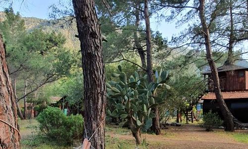 turkiye/antalya/kumluca/jungle-bungalow-camping_6ff2ca3e.jpg