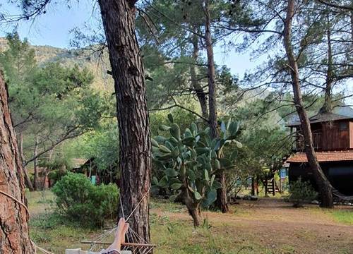 turkiye/antalya/kumluca/jungle-bungalow-camping_6ff2ca3e.jpg