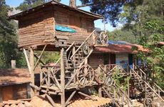 turkiye/antalya/kumluca/kadirs-tree-houses_f6935640.jpg