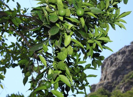 turkiye/antalya/kumluca/korsan-pansiyon_f09c554a.jpg