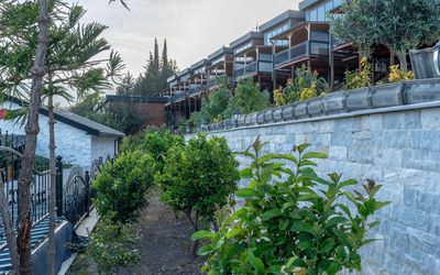 La Veranda · 4