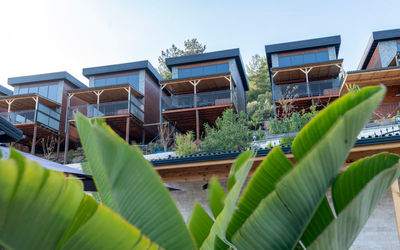 La Veranda · 3