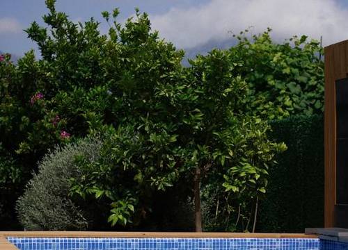 turkiye/antalya/kumluca/lb-boutique-hotel_7086147c.jpg