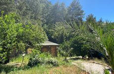 turkiye/antalya/kumluca/maya-olympos_4dd0ae67.jpg