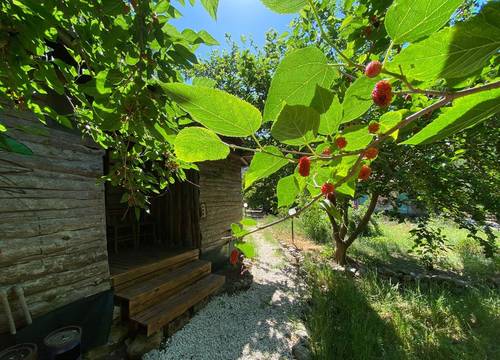 turkiye/antalya/kumluca/maya-olympos_5b0e2697.jpg