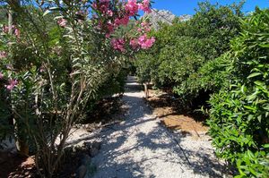 turkiye/antalya/kumluca/maya-olympos_8a38ac34.jpg