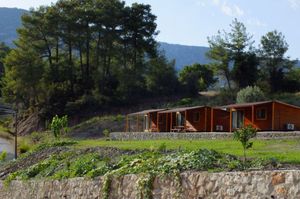 turkiye/antalya/kumluca/olimpos-altun-pansiyon_c614ac55.jpg