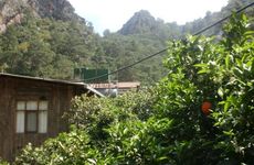 turkiye/antalya/kumluca/olimpos-orange-pension-1227410.jpg