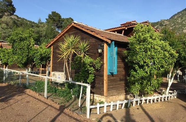 turkiye/antalya/kumluca/olympos-baykus-lodge-225970458.JPG