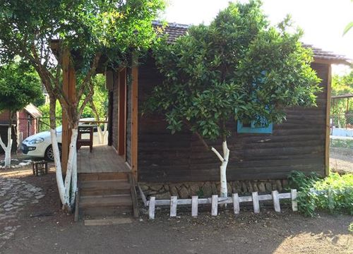 turkiye/antalya/kumluca/olympos-baykus-lodge-831943484.JPG