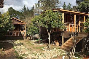 turkiye/antalya/kumluca/olympos-baykus-lodge_957990ed.jpg