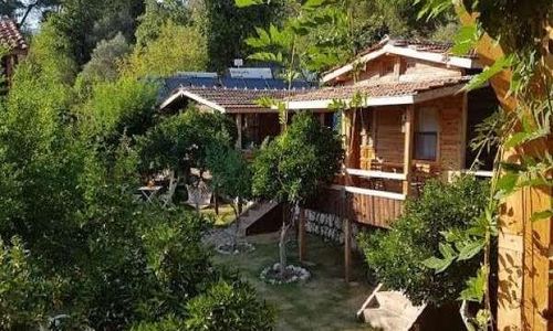 turkiye/antalya/kumluca/olympos-baykus-lodge_d21e3ec4.jpg