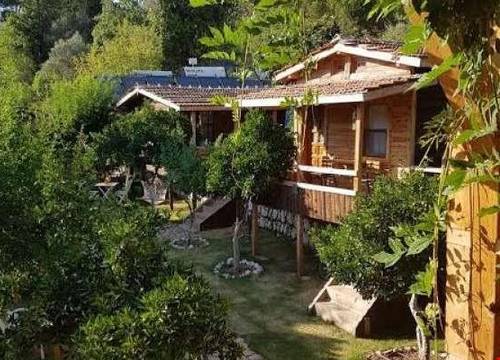 turkiye/antalya/kumluca/olympos-baykus-lodge_d21e3ec4.jpg