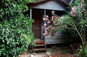 turkiye/antalya/kumluca/olympos-deep-green-bungalows-72a934c8.jpg