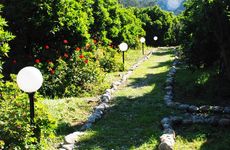turkiye/antalya/kumluca/olympos-deep-green-bungalows_fb5fbae1.jpg