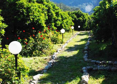 turkiye/antalya/kumluca/olympos-deep-green-bungalows_fb5fbae1.jpg