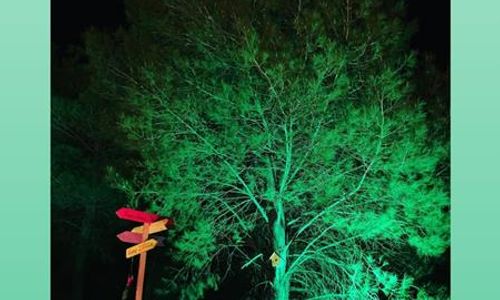 turkiye/antalya/kumluca/olympos-hypnos-glamping_a15ec016.jpg